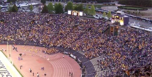 lsufans.jpg
